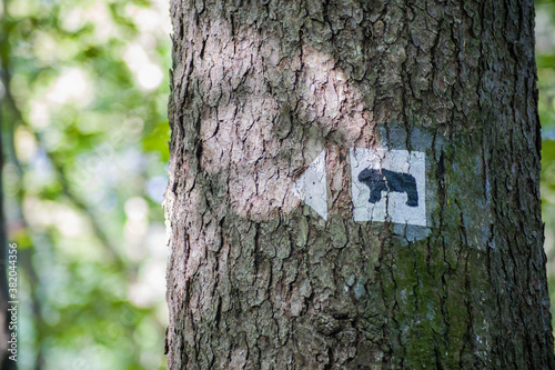 Trail marking with a bear at Ślęża Moutain in Poland.