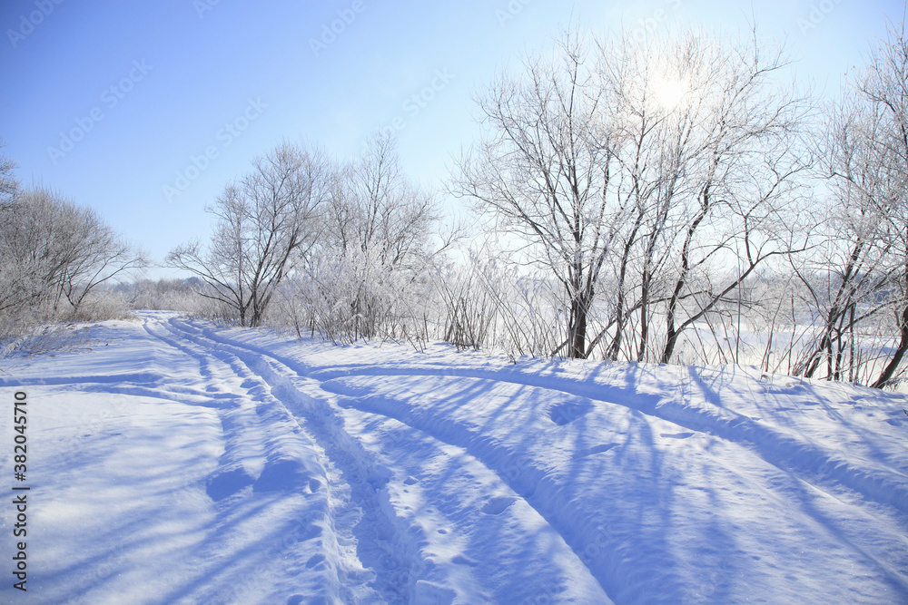 Obraz premium 雪の轍