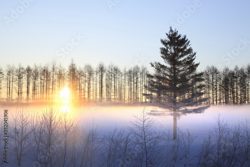 雪原の朝日 © Paylessimages