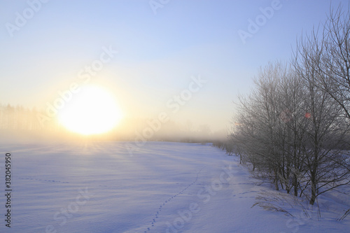 雪原の朝日
