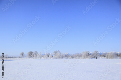 Tableau sur toile 雪原の木々