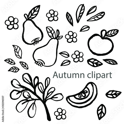 Vector autumn clipart with apples, autumn leaves, pears and flowers . Doodling for children's coloring book design, developing books