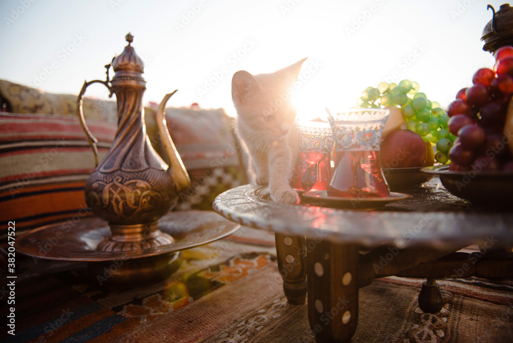 Fototapeta premium Cute red cat walking on table at popular istanbul terrace