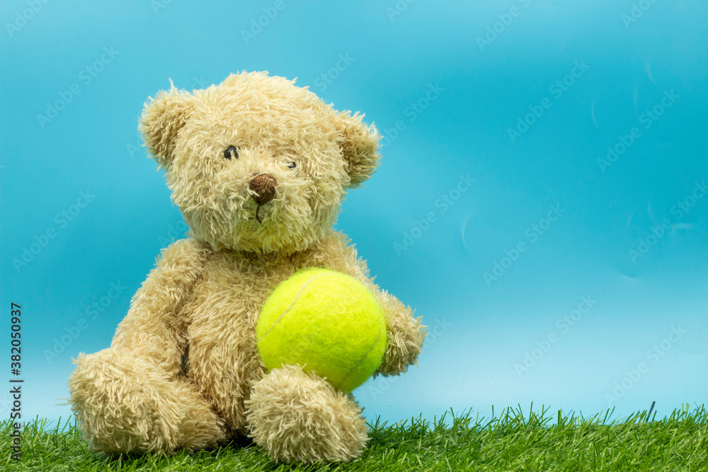 Tennis ball with teddy bear are on green grass Tennis ball with teddy bear are on green grass