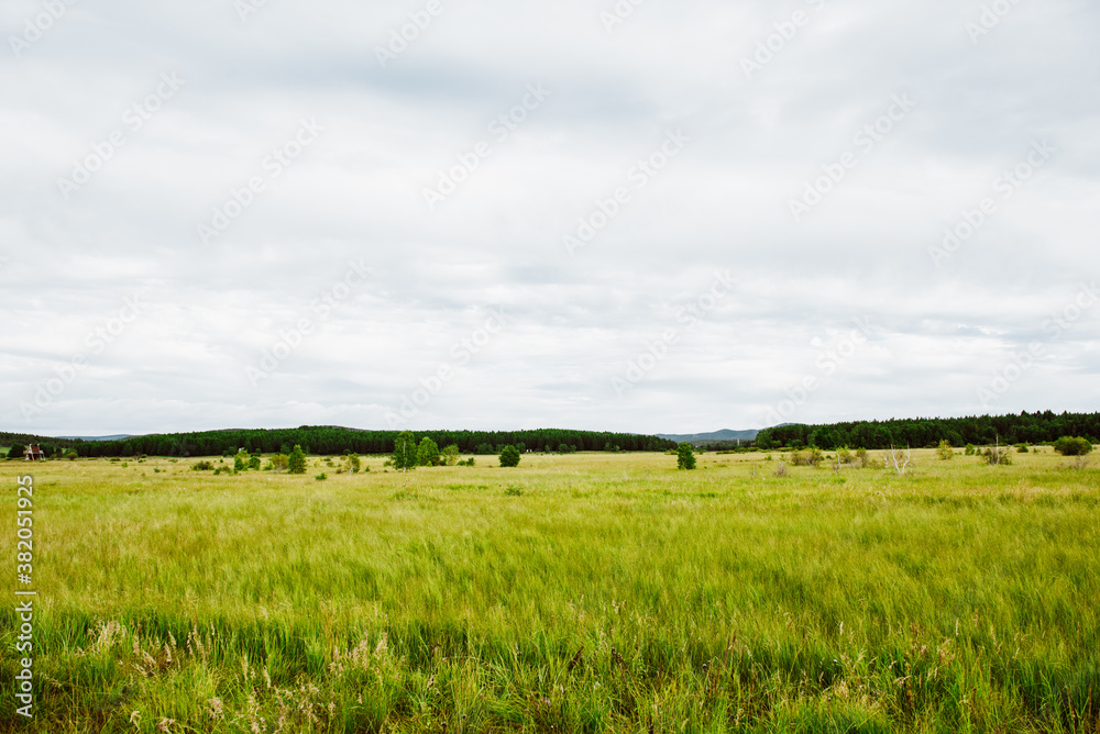 Bashang grassland pasture scenery in Hebei Province, China