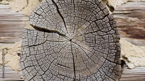 Fragment of an old tree with a knot ,invoice of wood.