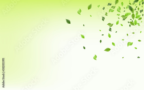 Forest Leaves Fly Vector Green Background 