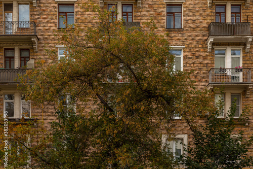An autumn tree in front of a Soviet-era brick apartment building. Front view. © Анна Демидова