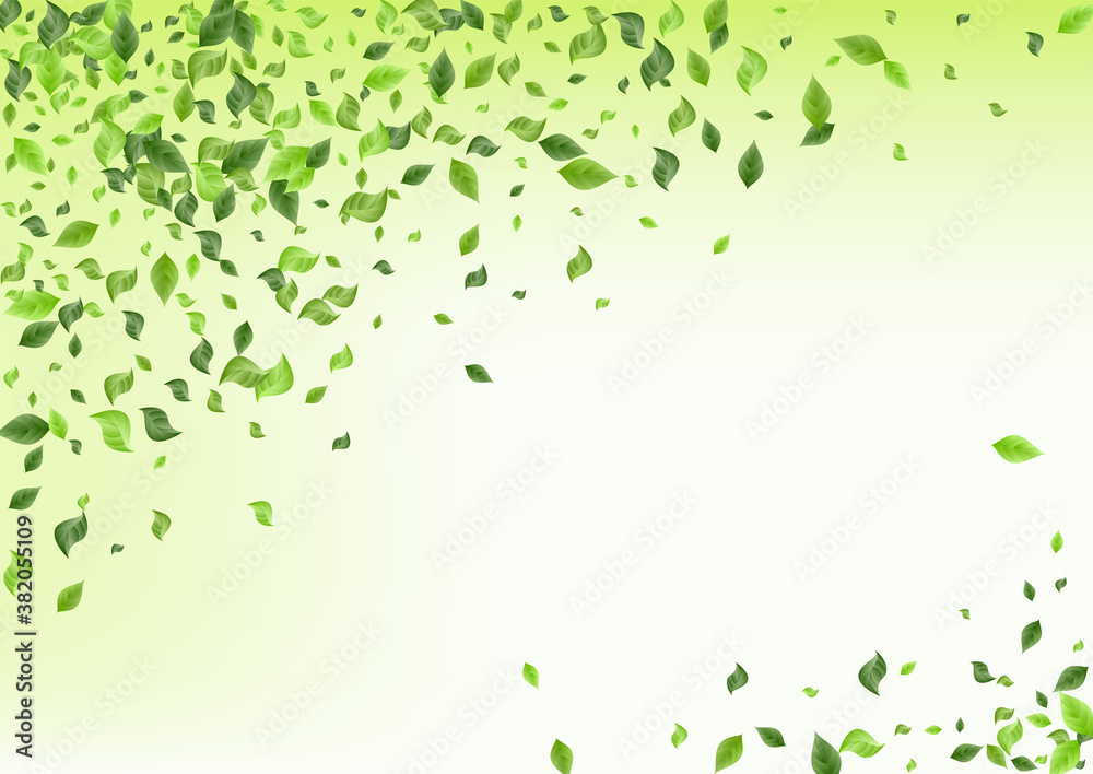 Mint Leaf Flying Green Background Brochure. Fly Mint Leaf Flying Green Background Brochure. Fly