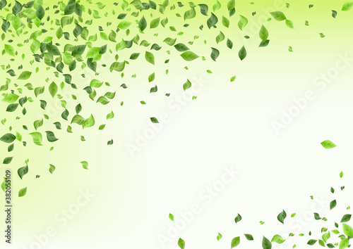 Mint Leaf Flying Green Background Brochure. Fly 
