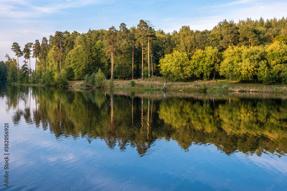 Reflection of tall pines and yellow bushes in the blue water of the river. Reflection of tall pines and yellow bushes in the blue water of the river.