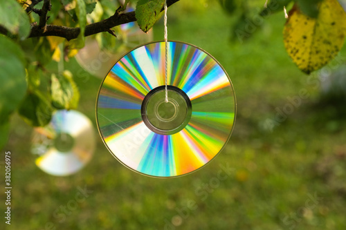 Shiny CD disc suspended from a tree branch in the sunlight.
