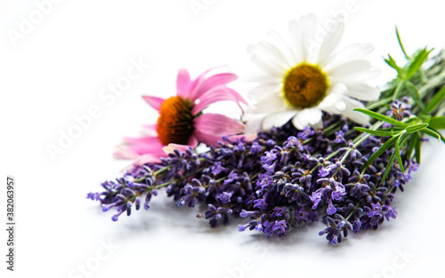 Lavender  echinacea and camomile flowers