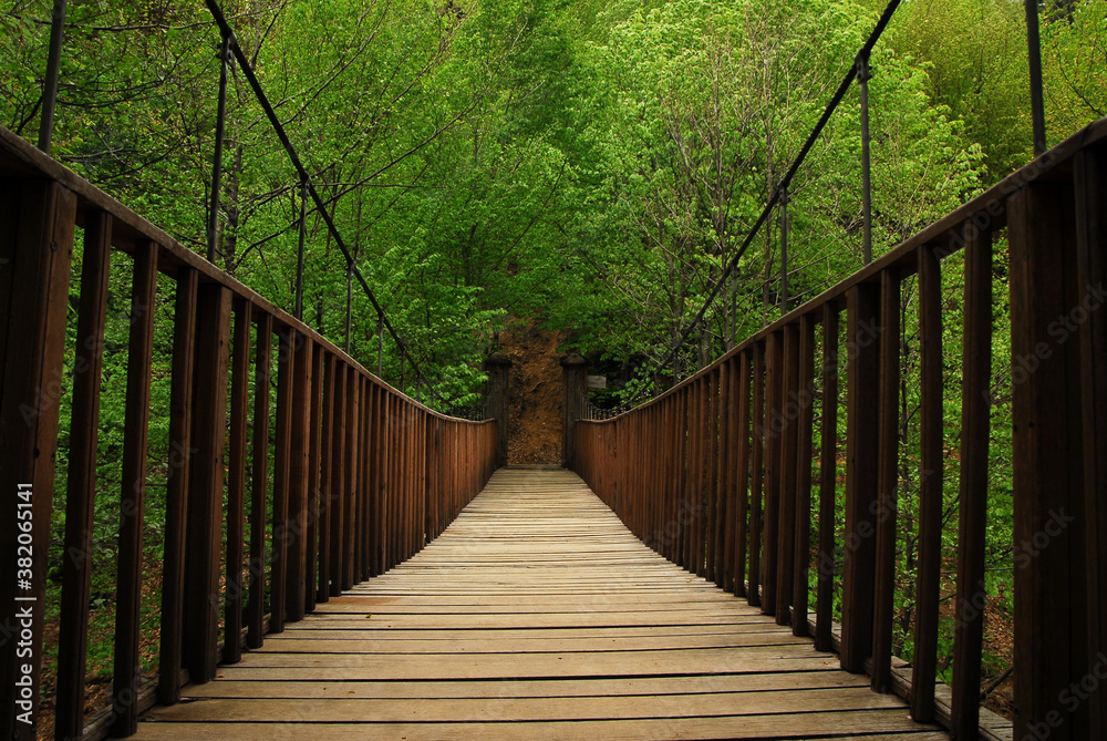Old wooden bridge in deep forest, natural vintage background, Turkey.