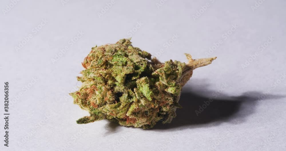 Marijuana Bud Up Close Macro Marijuana Bud Up Close Macro