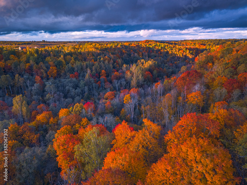 Drone view of colorful tree tops, Lithuania
