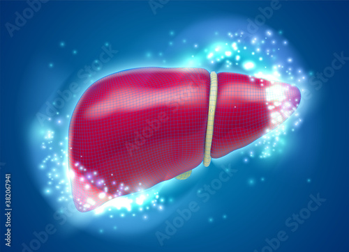 vector human liver, volumetric 3d organ for drugs and medical news
