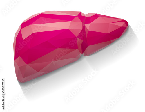 vector human liver, volumetric 3d organ for drugs and medical news