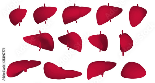 vector human liver, volumetric 3d organ for drugs and medical news