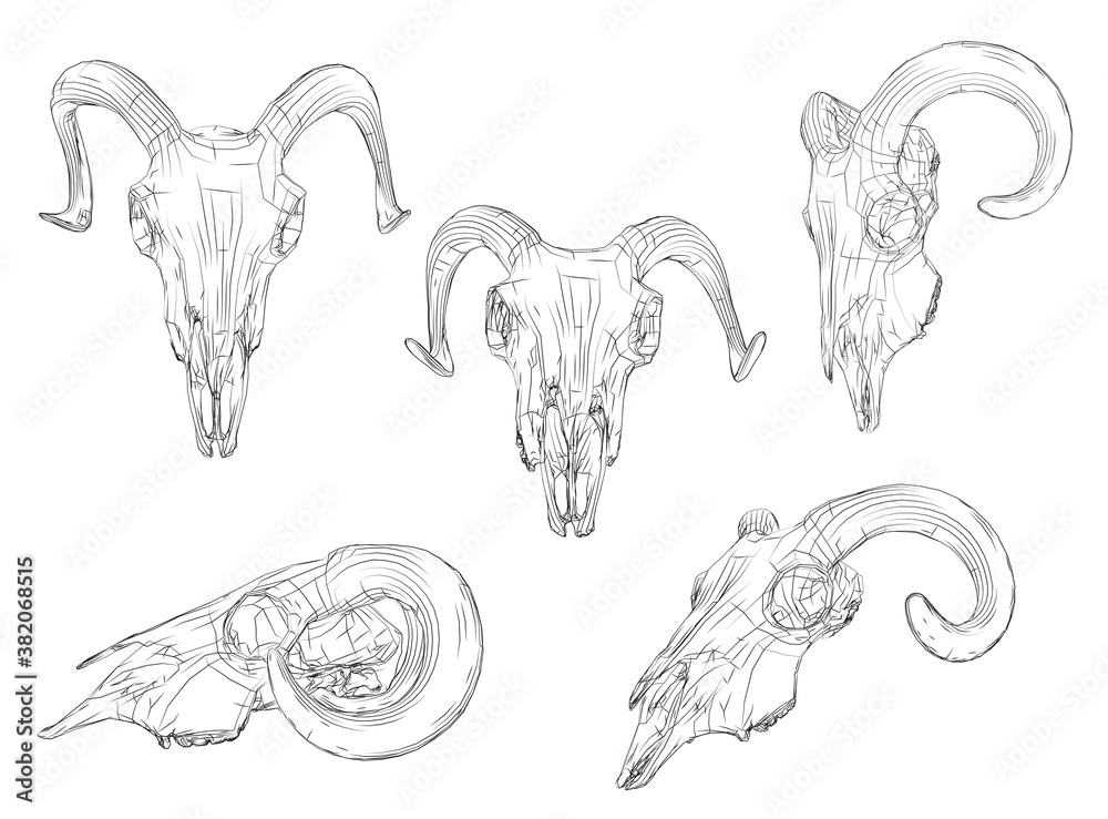 vector outline set of ram skull isolated on white background