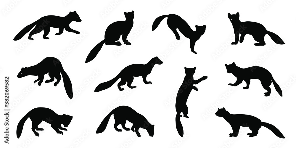 marten silhouettes marten silhouettes