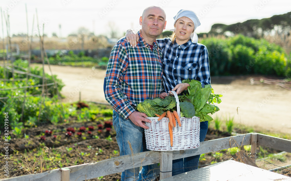 Obraz premium Joyful couple with a basket of vegetables in the garden. High quality photo