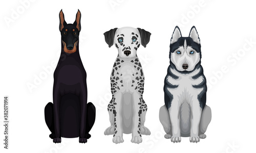 Purebred Dogs Sitting on Hind Legs Vector Set