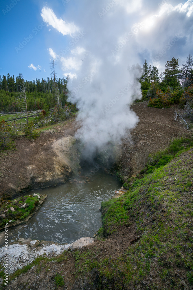 hydrothermal springs on mud volcano trail in yellowstone national park, wyoming, usa