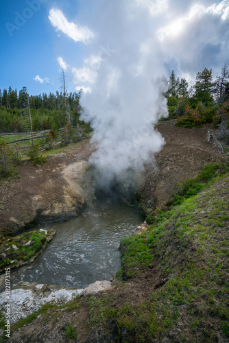 hydrothermal springs on mud volcano trail in yellowstone national park, wyoming, usa
