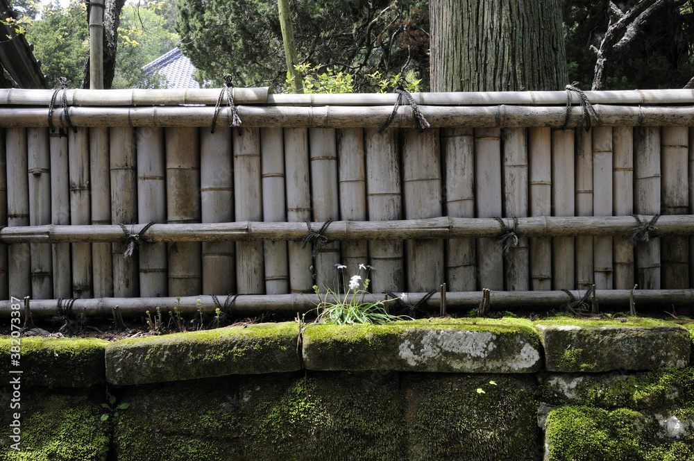 Fototapeta premium 古い寺の竹塀