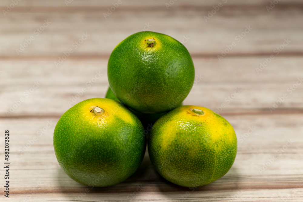 Early maturing mandarin orange (citrus unshiu) in Japan Early maturing mandarin orange (citrus unshiu) in Japan