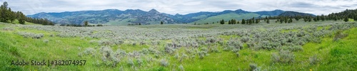 Fototapeta Naklejka Na Ścianę i Meble -  panorama of the yellowstone national park, wyoming, usa