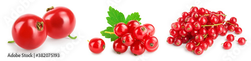 Red currant berries with leaf isolated on white background. Set or collection