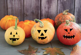 Pumpkins for Halloween on a gray wooden background.