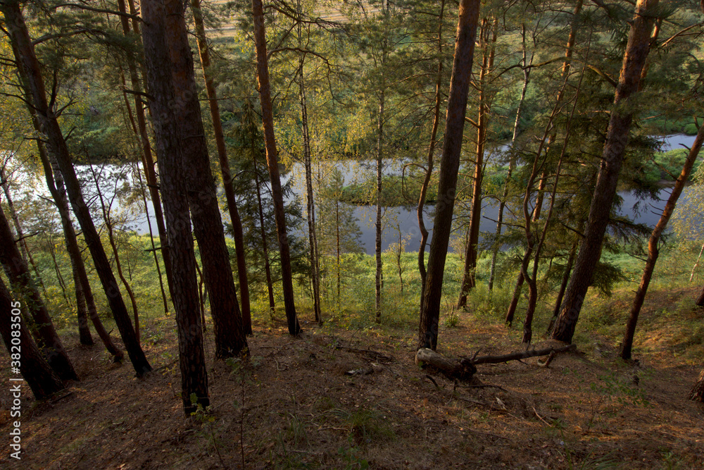River on a summer evening.
Pine trees on the river bank on a summer evening. View from above. River on a summer evening.
Pine trees on the river bank on a summer evening. View from above.