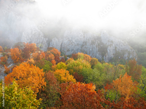 Colorful mountain landscape. Autumn in the mountains.