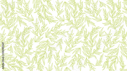 Olive Tree branches pattern. Olive-tree oil wrapper background. Light green color. Foliage leaves engraved vector line contour.