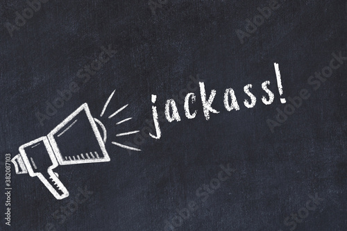 Fotografie Chalk sketch of loudspeaker and inscription jackass