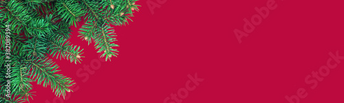 Christmas banner with festive border of fluffy dark green fir branches on red background. Top view  flat lay style  copy space for text.