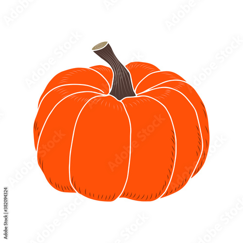 Doodle of a pumpkin on a white background. Vector isolated element for design. Autumn vegetables.