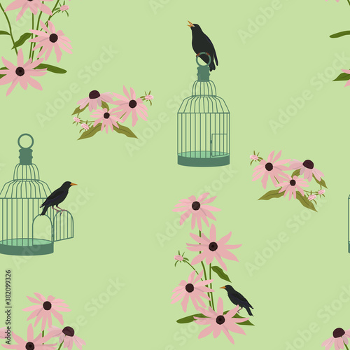 Seamless vector illustration with echinacea flowers, cage and birds