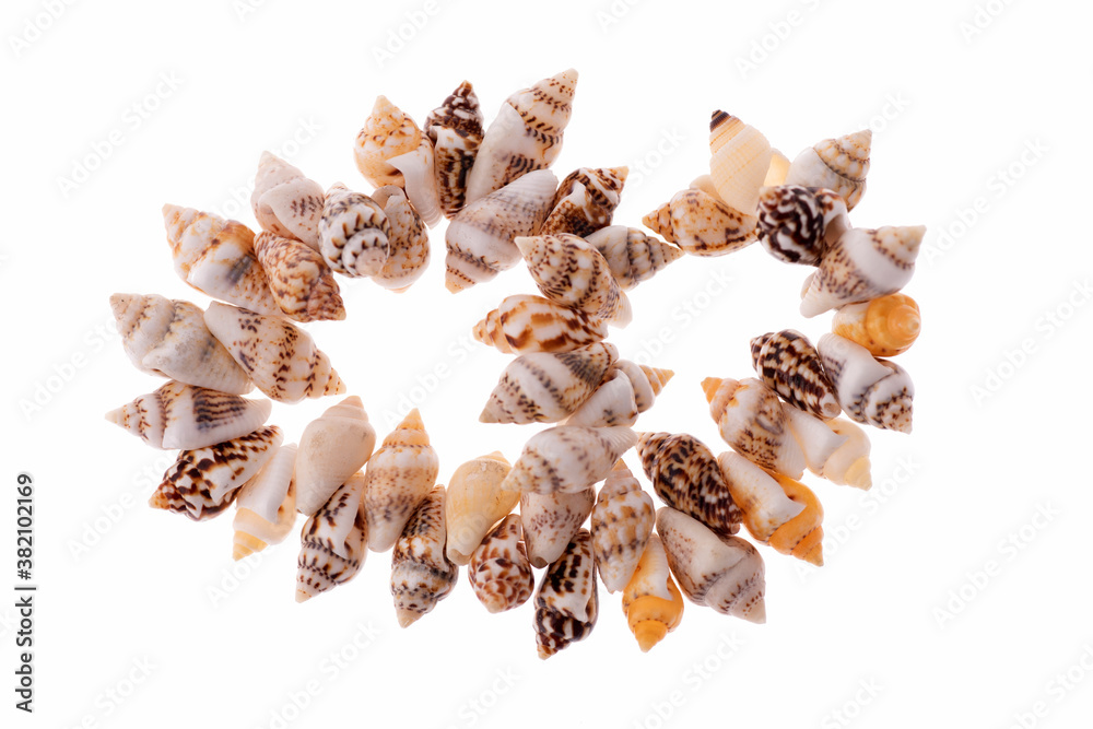 bracciale di Conchiglie su fondo bianco bracciale di Conchiglie su fondo bianco