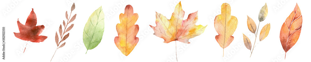 set of isolated autumn leaves  illustration in aquarelle colors