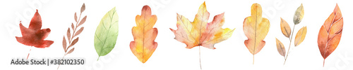 set of isolated autumn leaves illustration in aquarelle colors