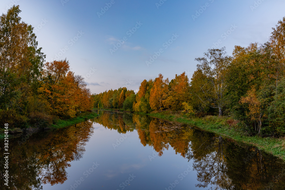 autumn trees reflected in water