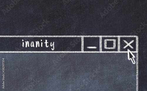 Fotografie Chalk drawig of browser window with inscription inanity