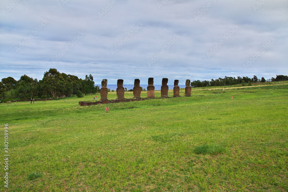 Rapa Nui. The statue Moai in Ahu Akivi on Easter Island, Chile