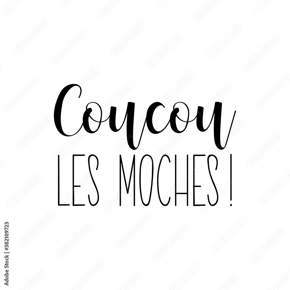 Hello ugly in French language. Lettering. Ink illustration. Modern brush calligraphy. Hello ugly in French language. Lettering. Ink illustration. Modern brush calligraphy.