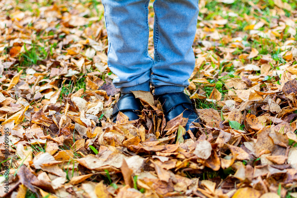 a man in black shoes is walking on fallen yellow leaves on green grass. a man in black shoes is walking on fallen yellow leaves on green grass.