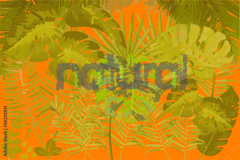 natural tropical plant background with monstera natural tropical plant background with monstera